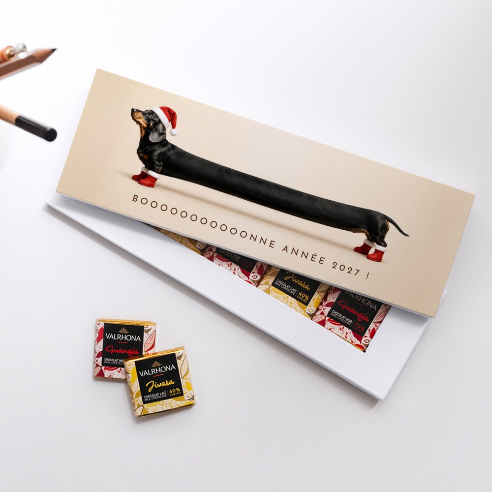 Teckel Noël