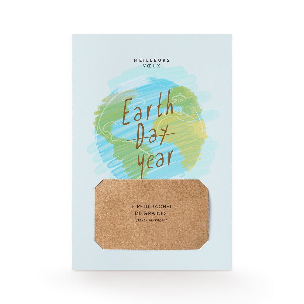 Earth year