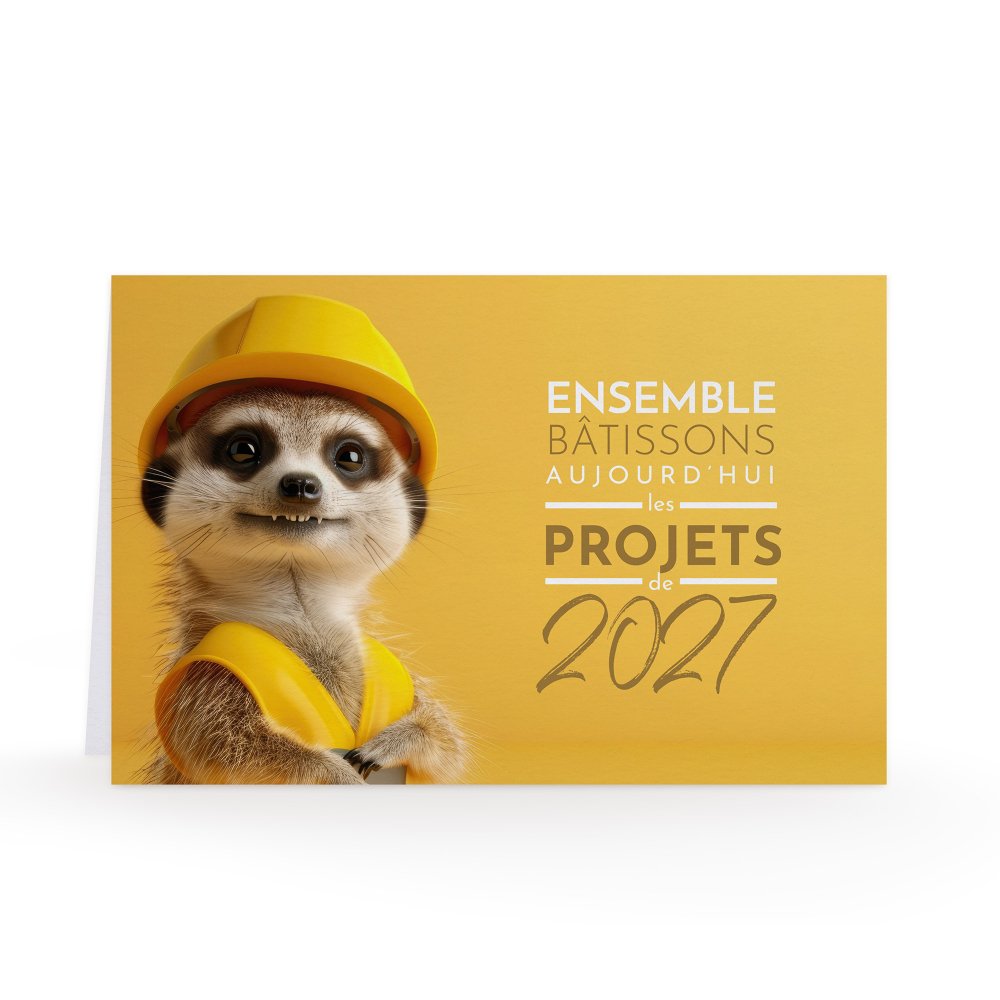 Timon