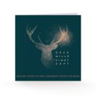 Great Spirit