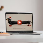 Teckel Noël