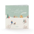 Frozen country