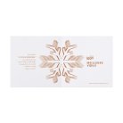 Snow Star