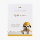 Timon