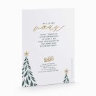 Graceful christmas