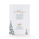 Graceful christmas