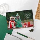 Pug'Xmas