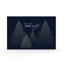 Night forest