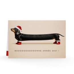 Teckel Noël