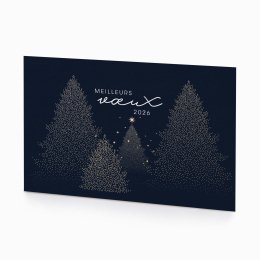 Night forest