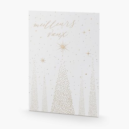 Fairy Lights